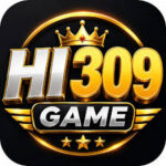 HI309 Game