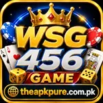 WSG456 Game