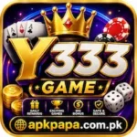 Y333 Game