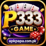 P333 Game